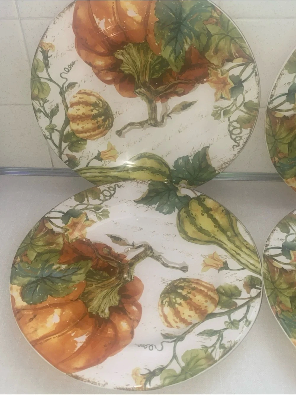 Pier 1 Pumpkin Patch Dinner Plates Set of 4 Earthenware Fall Thanksgiving